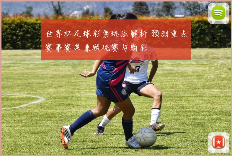 世界杯足球彩票玩法解析 预测重点赛事赛果兼顾观赛与购彩