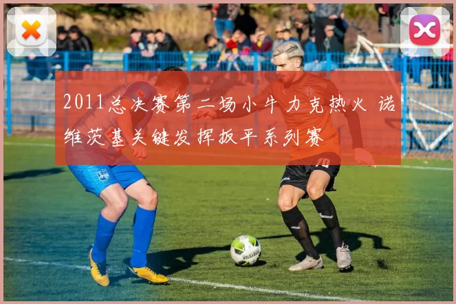 2011总决赛第二场小牛力克热火 诺维茨基关键发挥扳平系列赛